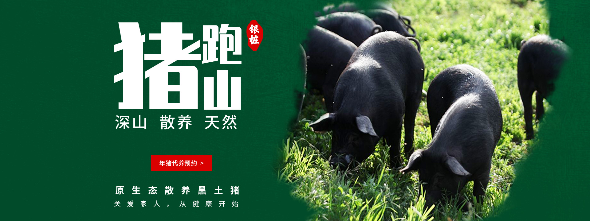 年豬代養(yǎng)預(yù)約